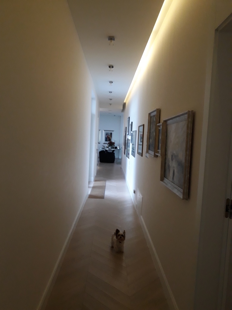 Apartament na wynajem, Warszawa Śródmieście, ul. Grzybowska 74849660